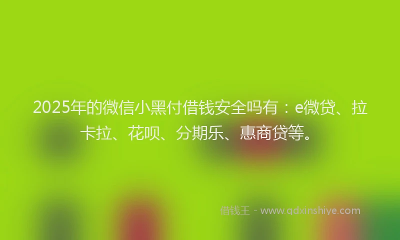 2025年的微信小黑付借钱安全吗有：e微贷、拉卡拉、花呗、分期乐、惠商贷等。
