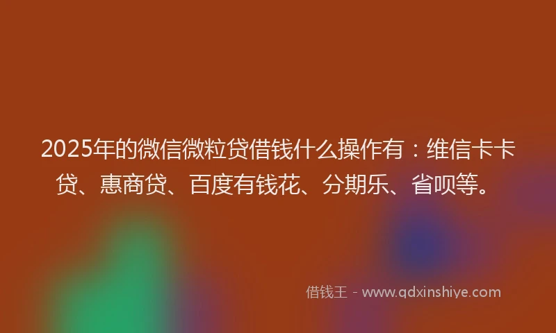 2025年的微信微粒贷借钱什么操作有：维信卡卡贷、惠商贷、百度有钱花、分期乐、省呗等。