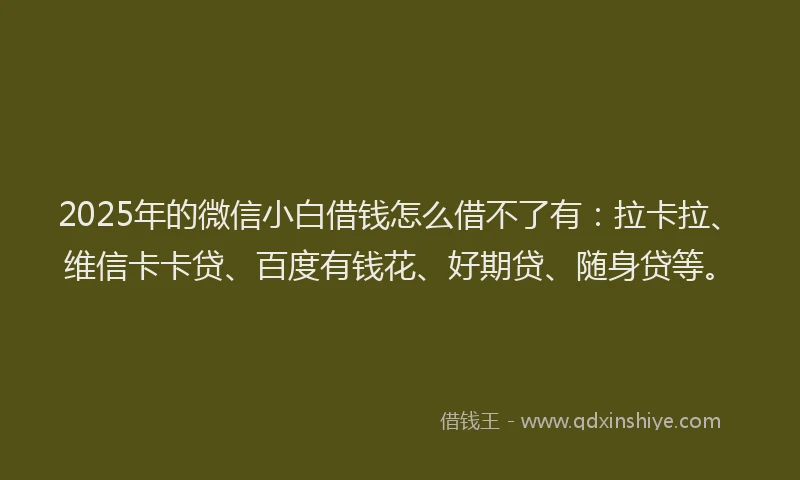 2025年的微信小白借钱怎么借不了有：拉卡拉、维信卡卡贷、百度有钱花、好期贷、随身贷等。