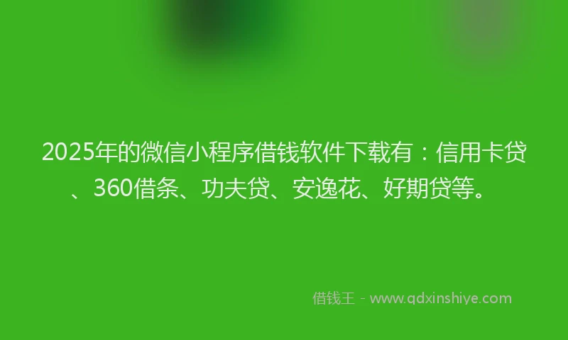 2025年的微信小程序借钱软件下载有：信用卡贷、360借条、功夫贷、安逸花、好期贷等。