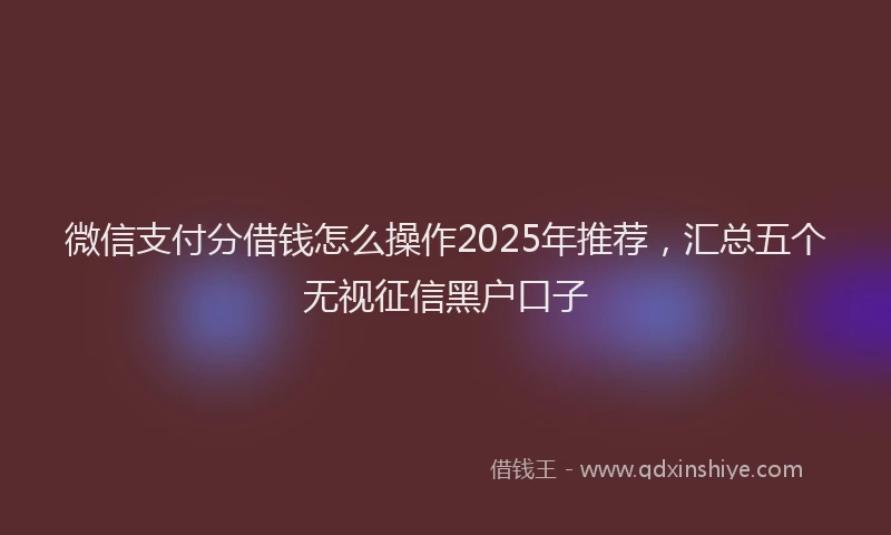 微信支付分借钱怎么操作2025年推荐，汇总五个无视征信黑户口子