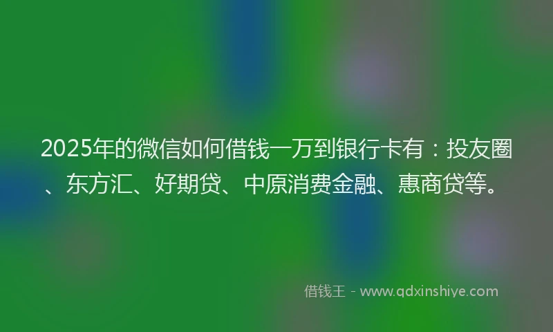 2025年的微信如何借钱一万到银行卡有：投友圈、东方汇、好期贷、中原消费金融、惠商贷等。