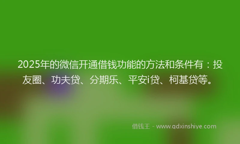 2025年的微信开通借钱功能的方法和条件有：投友圈、功夫贷、分期乐、平安i贷、柯基贷等。