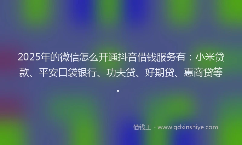2025年的微信怎么开通抖音借钱服务有：小米贷款、平安口袋银行、功夫贷、好期贷、惠商贷等。