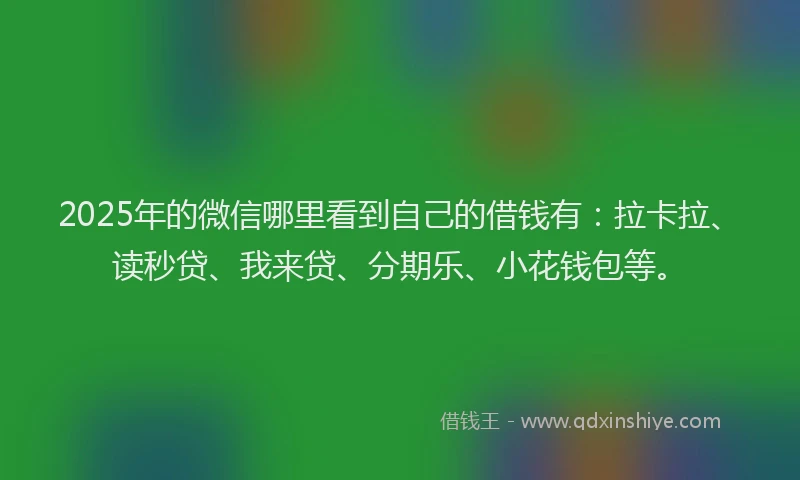 2025年的微信哪里看到自己的借钱有：拉卡拉、读秒贷、我来贷、分期乐、小花钱包等。
