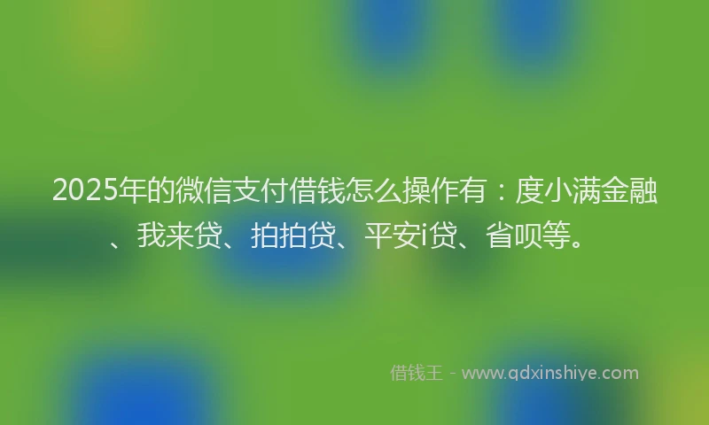 2025年的微信支付借钱怎么操作有：度小满金融、我来贷、拍拍贷、平安i贷、省呗等。