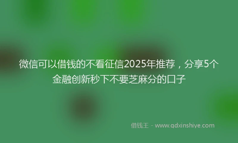 微信可以借钱的不看征信2025年推荐，分享5个金融创新秒下不要芝麻分的口子