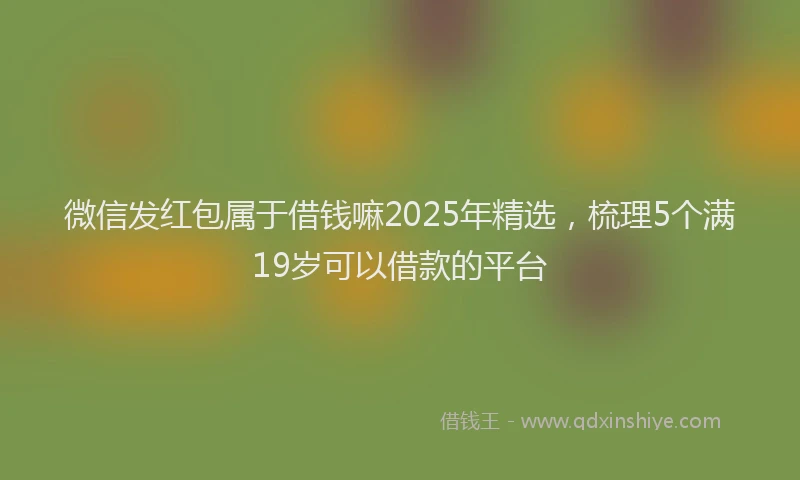 微信发红包属于借钱嘛2025年精选，梳理5个满19岁可以借款的平台