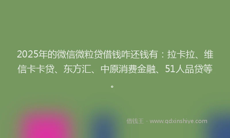 2025年的微信微粒贷借钱咋还钱有：拉卡拉、维信卡卡贷、东方汇、中原消费金融、51人品贷等。