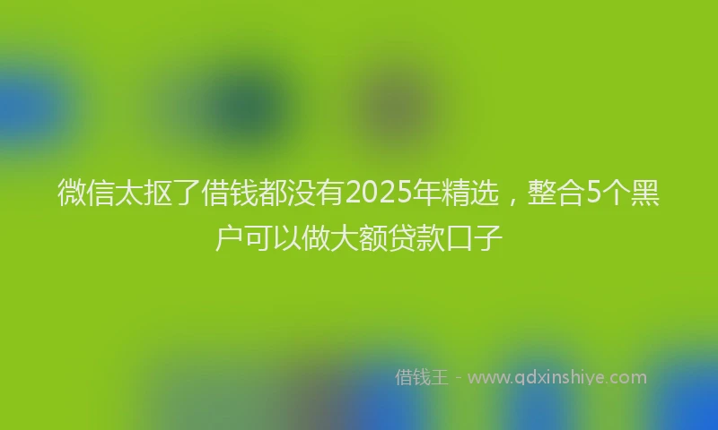 微信太抠了借钱都没有2025年精选，整合5个黑户可以做大额贷款口子