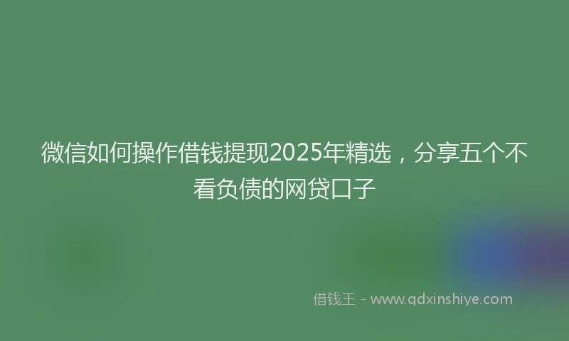 微信如何操作借钱提现2025年精选，分享五个不看负债的网贷口子
