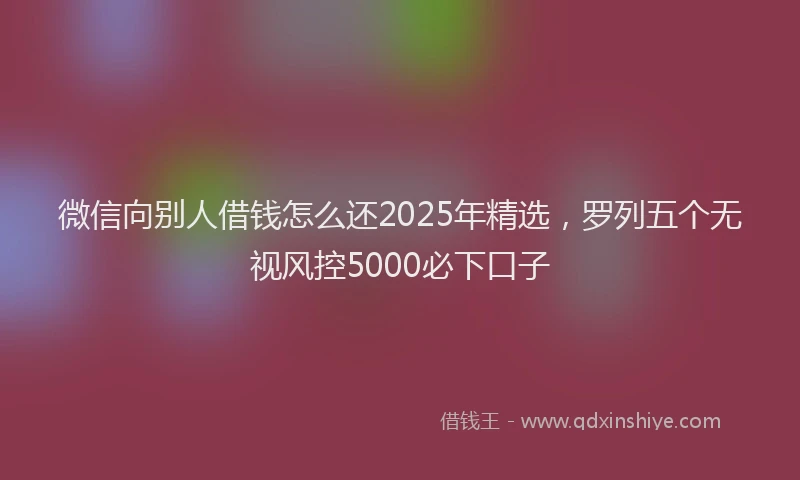 微信向别人借钱怎么还2025年精选，罗列五个无视风控5000必下口子