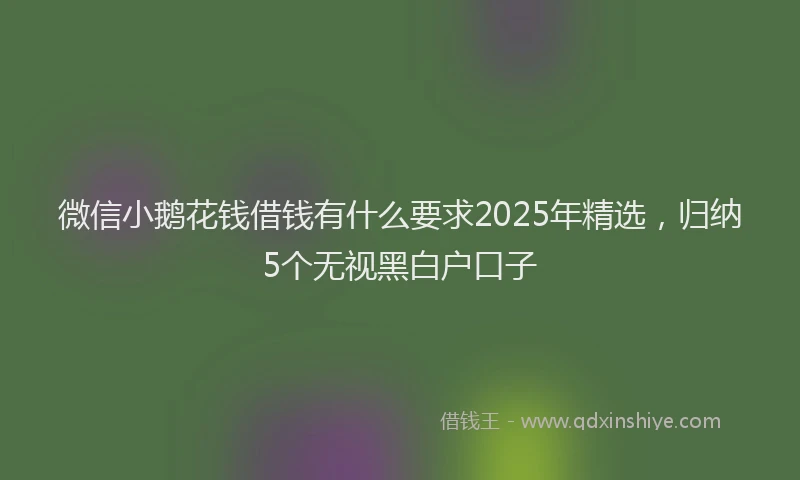 微信小鹅花钱借钱有什么要求2025年精选，归纳5个无视黑白户口子