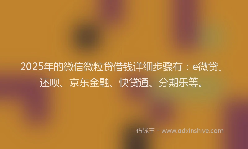 2025年的微信微粒贷借钱详细步骤有：e微贷、还呗、京东金融、快贷通、分期乐等。