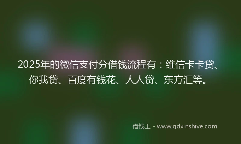 2025年的微信支付分借钱流程有：维信卡卡贷、你我贷、百度有钱花、人人贷、东方汇等。