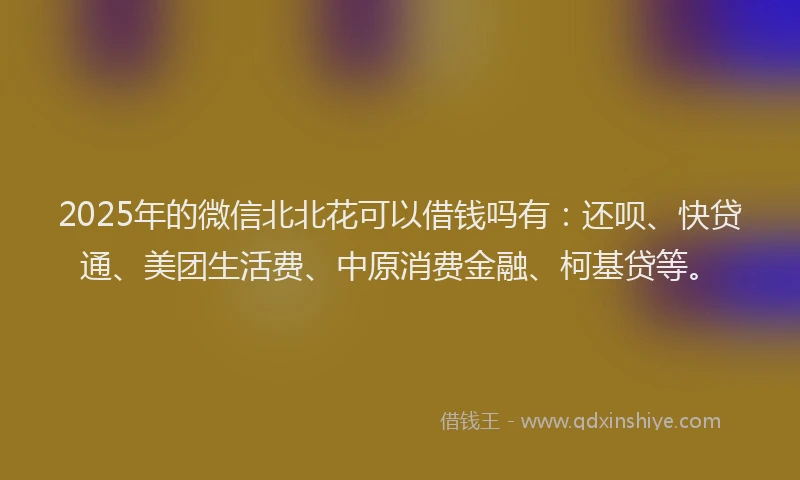 2025年的微信北北花可以借钱吗有：还呗、快贷通、美团生活费、中原消费金融、柯基贷等。
