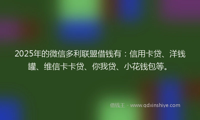 2025年的微信多利联盟借钱有：信用卡贷、洋钱罐、维信卡卡贷、你我贷、小花钱包等。