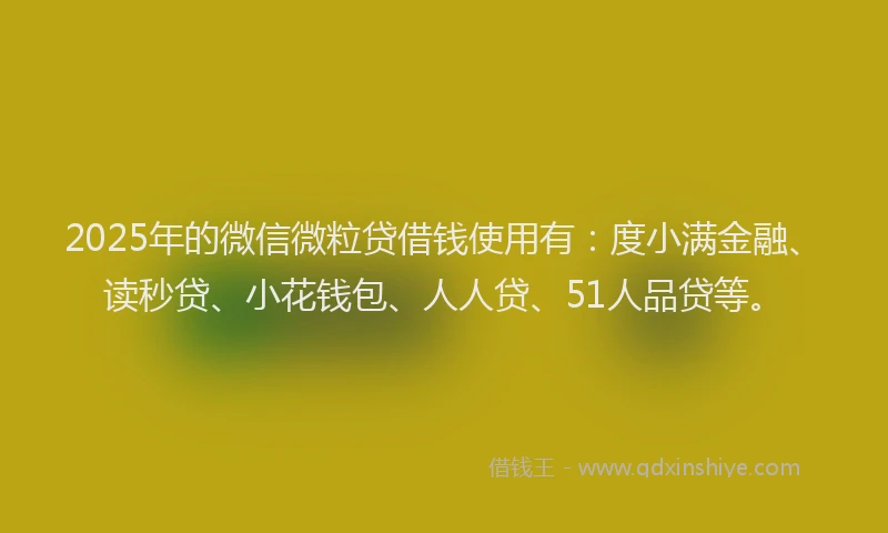 2025年的微信微粒贷借钱使用有：度小满金融、读秒贷、小花钱包、人人贷、51人品贷等。