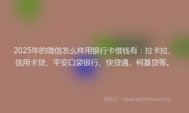 2025年的微信怎么样用银行卡借钱有：拉卡拉、信用卡贷、平安口袋银行、快贷通、柯基贷等。