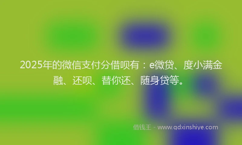 2025年的微信支付分借呗有：e微贷、度小满金融、还呗、替你还、随身贷等。