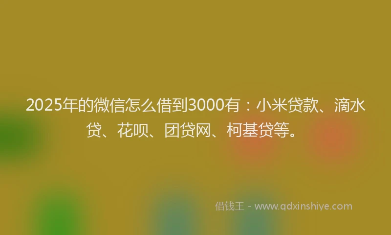 2025年的微信怎么借到3000有：小米贷款、滴水贷、花呗、团贷网、柯基贷等。