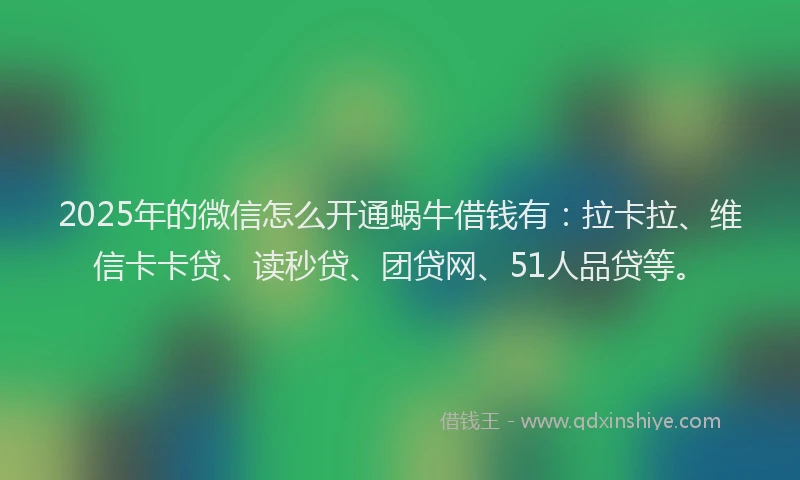 2025年的微信怎么开通蜗牛借钱有：拉卡拉、维信卡卡贷、读秒贷、团贷网、51人品贷等。