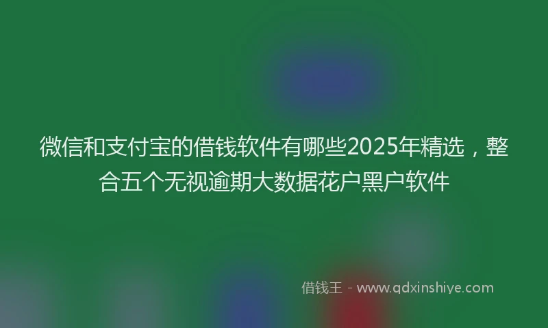 微信和支付宝的借钱软件有哪些2025年精选，整合五个无视逾期大数据花户黑户软件