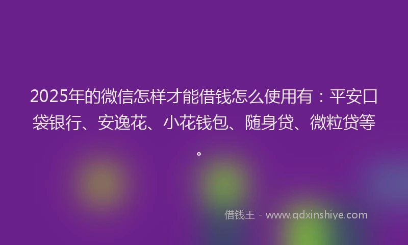 2025年的微信怎样才能借钱怎么使用有:平安口袋银行、安逸花、小花钱包、随身贷、微粒贷等。