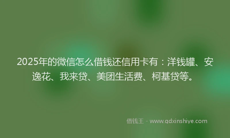 2025年的微信怎么借钱还信用卡有：洋钱罐、安逸花、我来贷、美团生活费、柯基贷等。