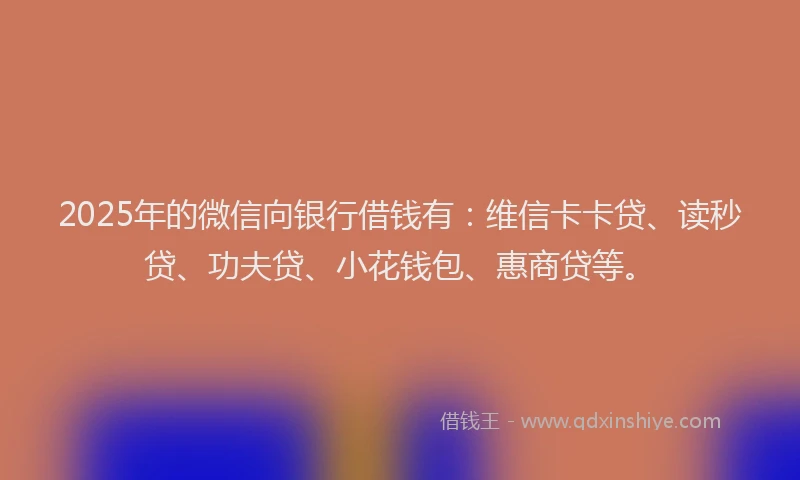 2025年的微信向银行借钱有：维信卡卡贷、读秒贷、功夫贷、小花钱包、惠商贷等。