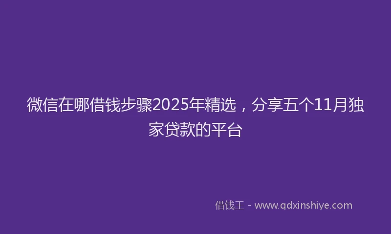 微信在哪借钱步骤2025年精选，分享五个11月独家贷款的平台