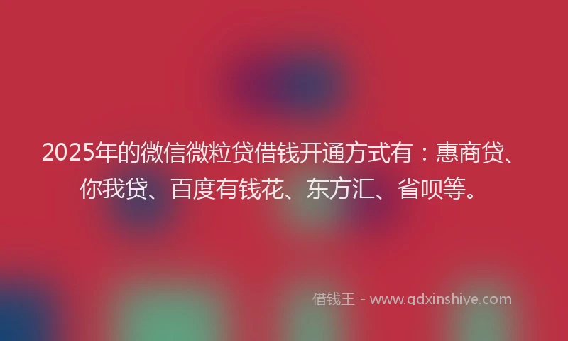 2025年的微信微粒贷借钱开通方式有：惠商贷、你我贷、百度有钱花、东方汇、省呗等。