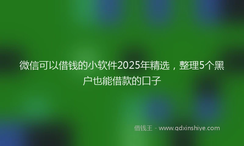 微信可以借钱的小软件2025年精选，整理5个黑户也能借款的口子