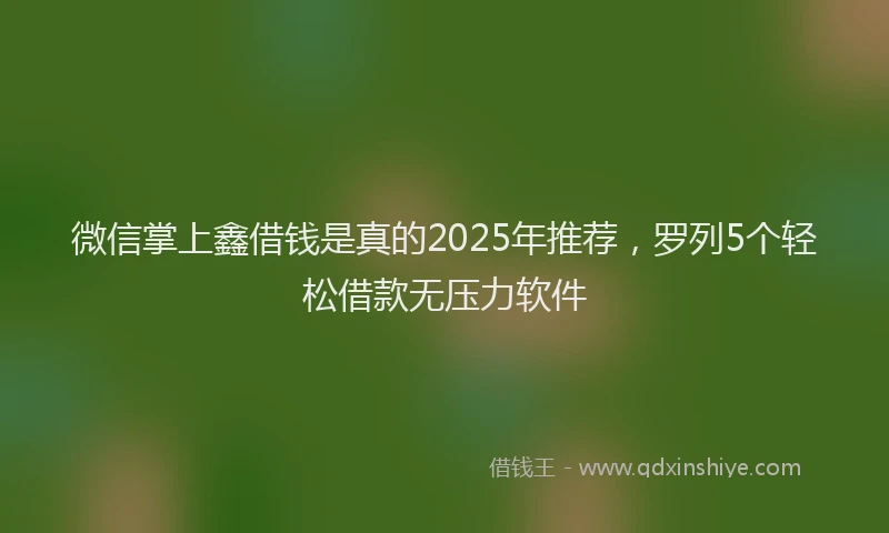 微信掌上鑫借钱是真的2025年推荐，罗列5个轻松借款无压力软件