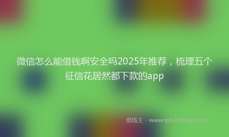 微信怎么能借钱啊安全吗2025年推荐，梳理五个征信花居然都下款的app
