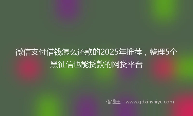 微信支付借钱怎么还款的2025年推荐，整理5个黑征信也能贷款的网贷平台