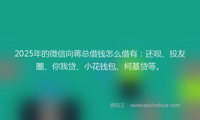 2025年的微信向蒋总借钱怎么借有：还呗、投友圈、你我贷、小花钱包、柯基贷等。