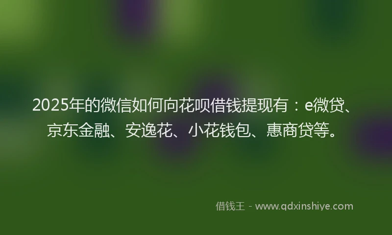 2025年的微信如何向花呗借钱提现有：e微贷、京东金融、安逸花、小花钱包、惠商贷等。