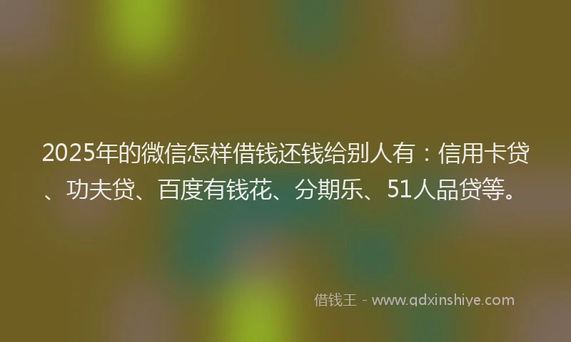 2025年的微信怎样借钱还钱给别人有：信用卡贷、功夫贷、百度有钱花、分期乐、51人品贷等。