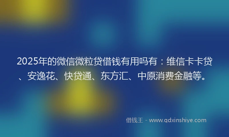 2025年的微信微粒贷借钱有用吗有：维信卡卡贷、安逸花、快贷通、东方汇、中原消费金融等。