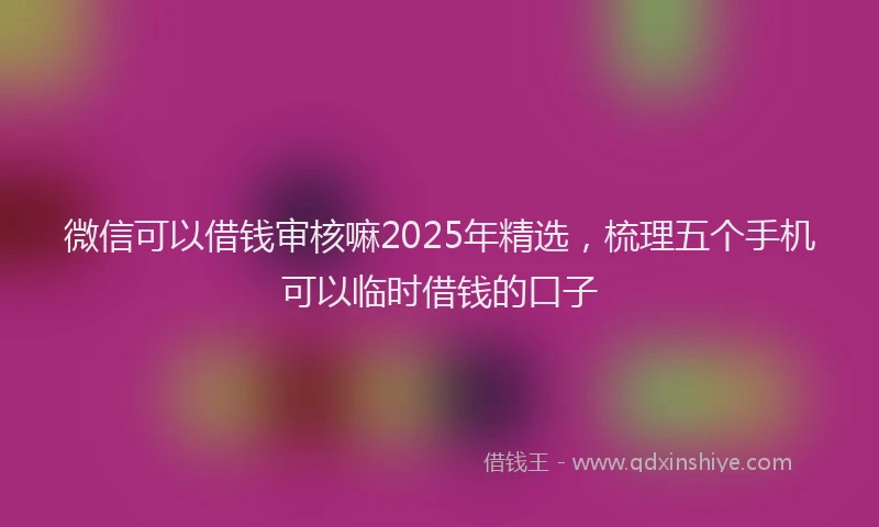 微信可以借钱审核嘛2025年精选，梳理五个手机可以临时借钱的口子