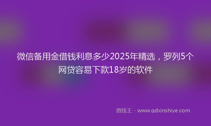 微信备用金借钱利息多少2025年精选，罗列5个网贷容易下款18岁的软件