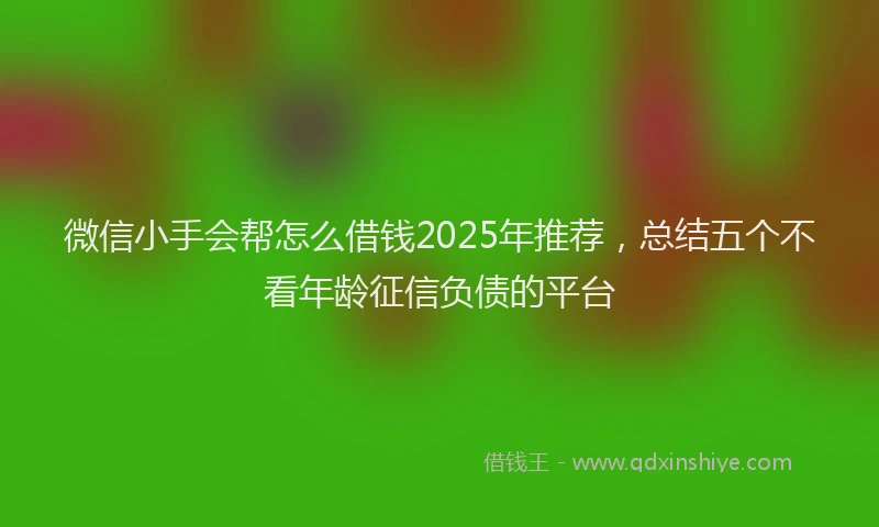 微信小手会帮怎么借钱2025年推荐，总结五个不看年龄征信负债的平台