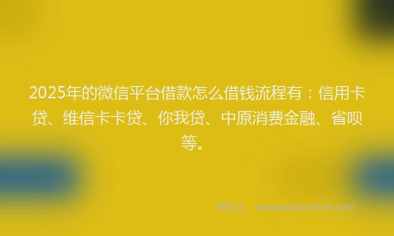2025年的微信平台借款怎么借钱流程有：信用卡贷、维信卡卡贷、你我贷、中原消费金融、省呗等。