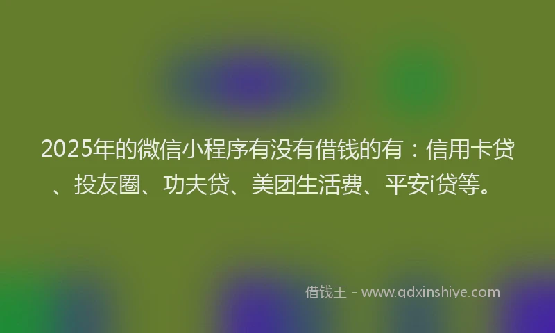 2025年的微信小程序有没有借钱的有：信用卡贷、投友圈、功夫贷、美团生活费、平安i贷等。