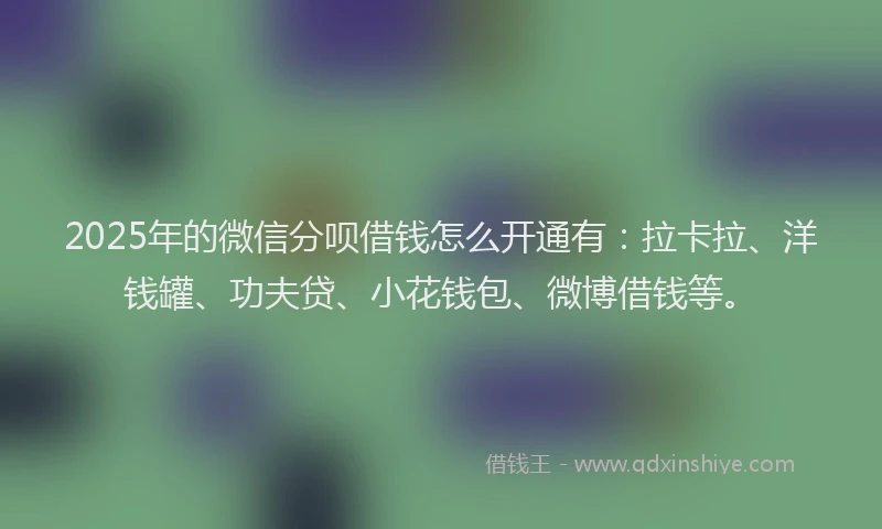 2025年的微信分呗借钱怎么开通有：拉卡拉、洋钱罐、功夫贷、小花钱包、微博借钱等。