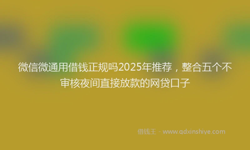 微信微通用借钱正规吗2025年推荐，整合五个不审核夜间直接放款的网贷口子