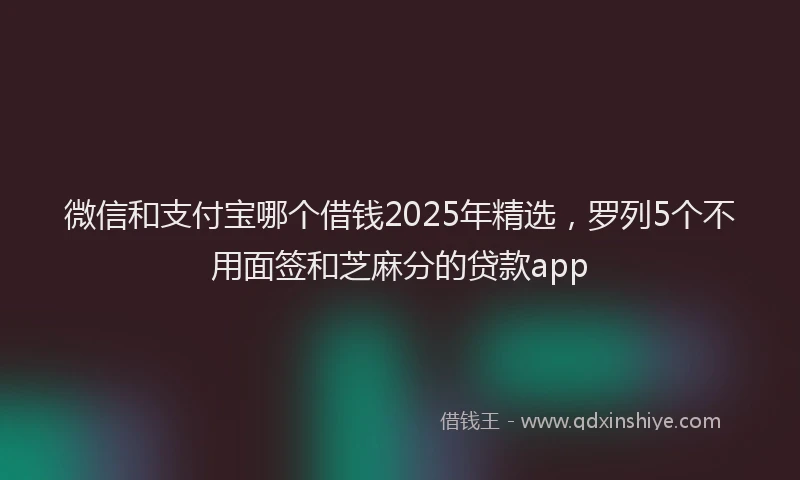微信和支付宝哪个借钱2025年精选，罗列5个不用面签和芝麻分的贷款app