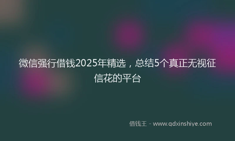微信强行借钱2025年精选，总结5个真正无视征信花的平台