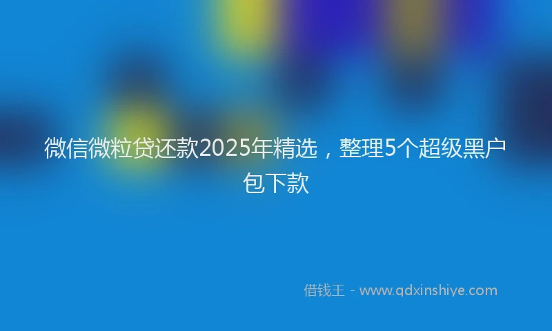 微信微粒贷还款2025年精选，整理5个超级黑户包下款